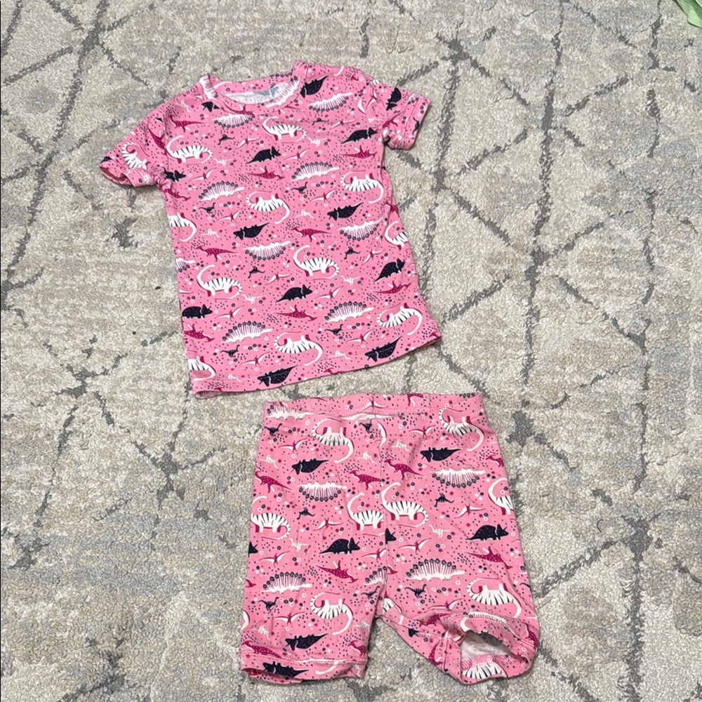Pink Dinosaur Kids Pajamas